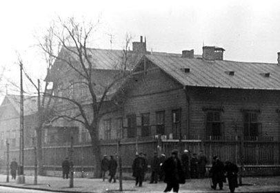 dzika hajlektalan szallo cut